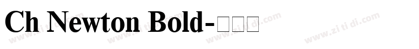 Ch Newton Bold字体转换